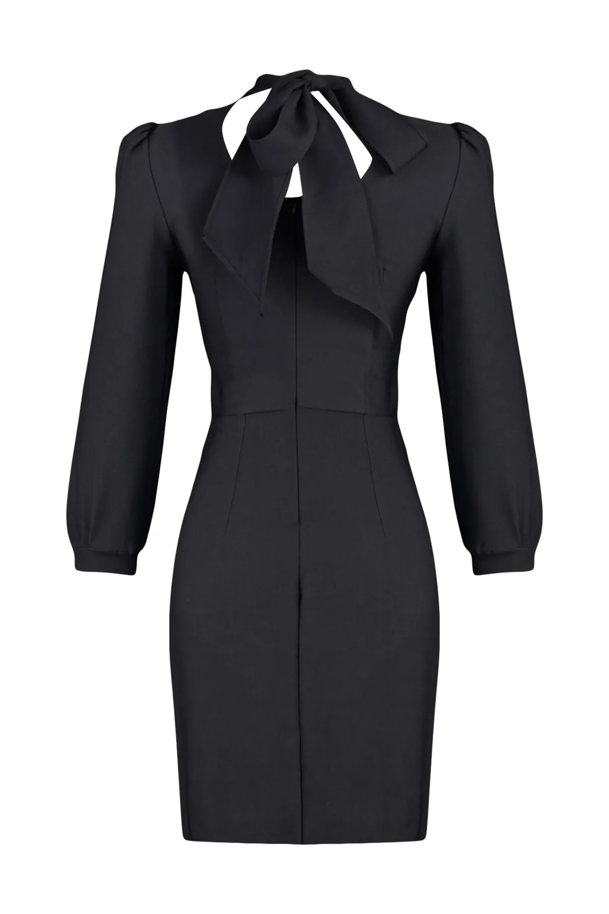 Trendyol Collection  Schwarzes Mini-Webkleid mit hohem Kragen TWOAW20EL1691