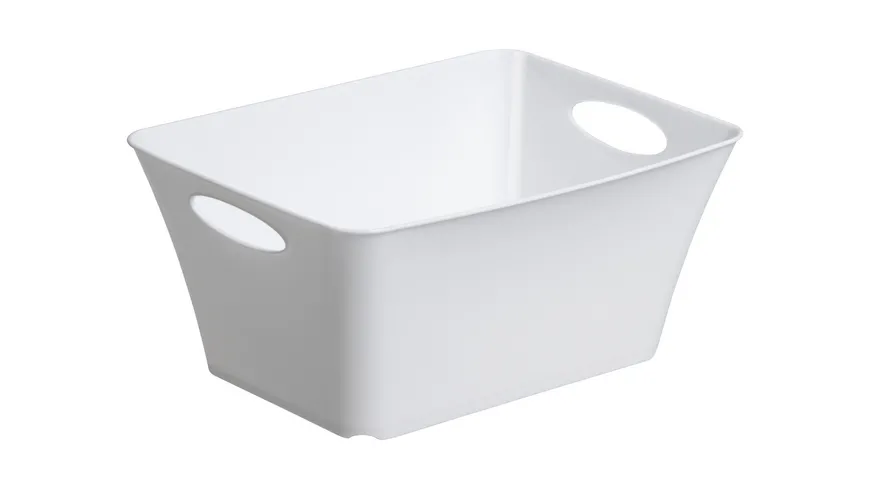 rotho Aufbewahrungsbox Livingbox 5l weiß