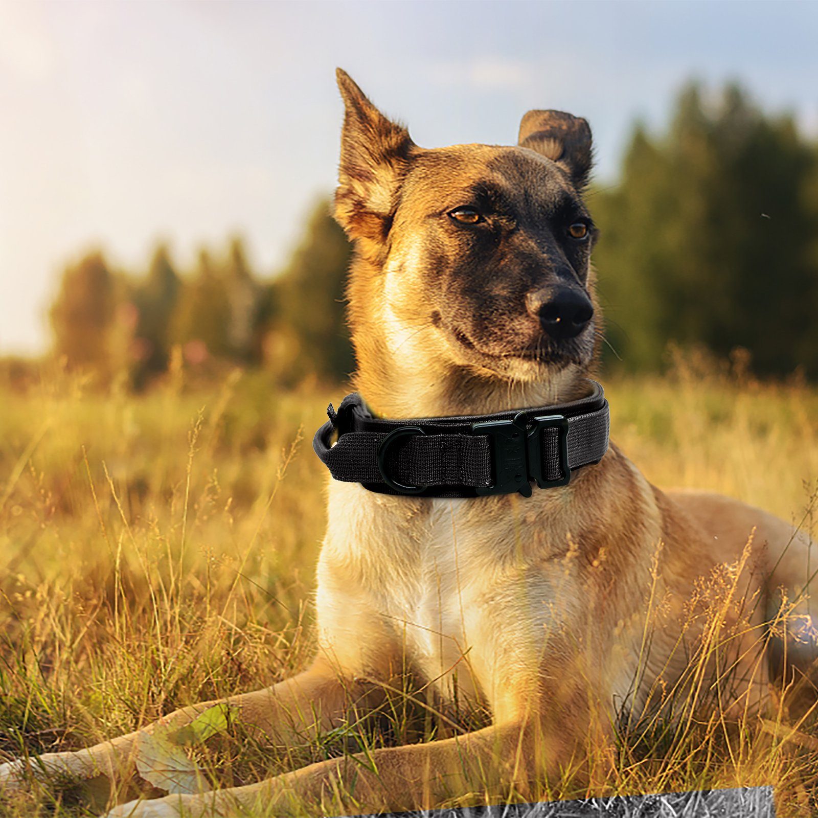 CALIYO Hunde-Halsband Militär Halsband Taktisches Hundehalsband mit Griff, für Mittlere Große Hunde Training Jagd, mit Robuste Metallschnalle