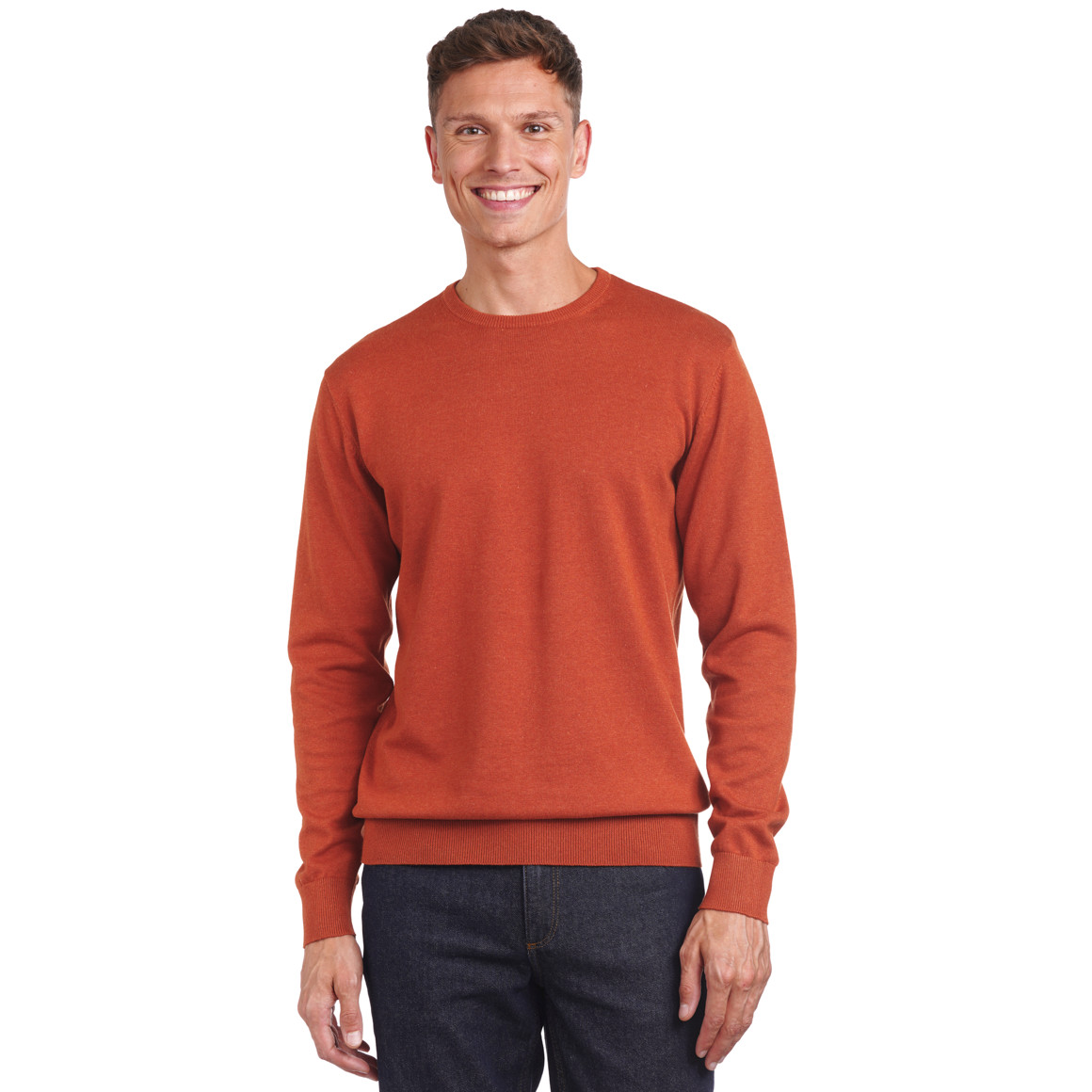 Herren Feinstrickpullover mit Rundhals