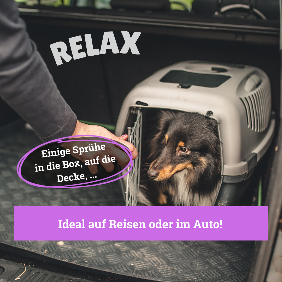 BeG Buddy Beruhigungsmittel BeG Buddy Körbchen Spray mit Lavendel