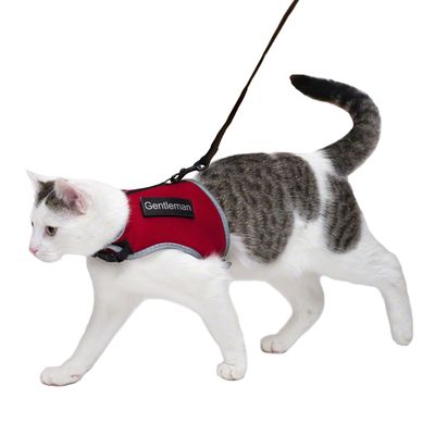 Trixie Katzengeschirr XCat mit Sticker und Leine