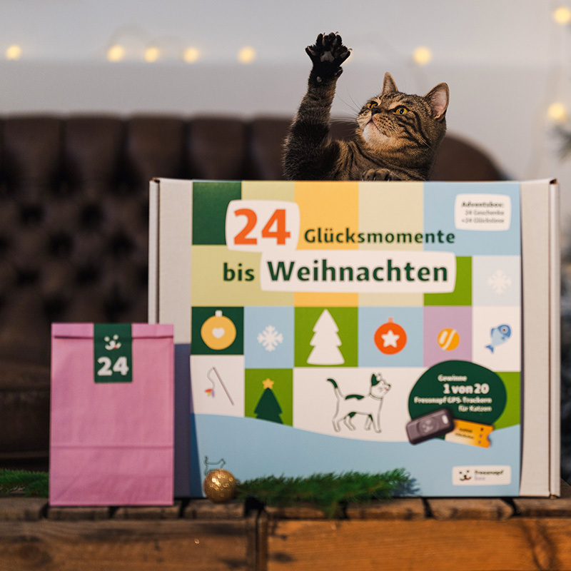 Fressnapf Nassfutter Fressnapf Adventskalender Katze