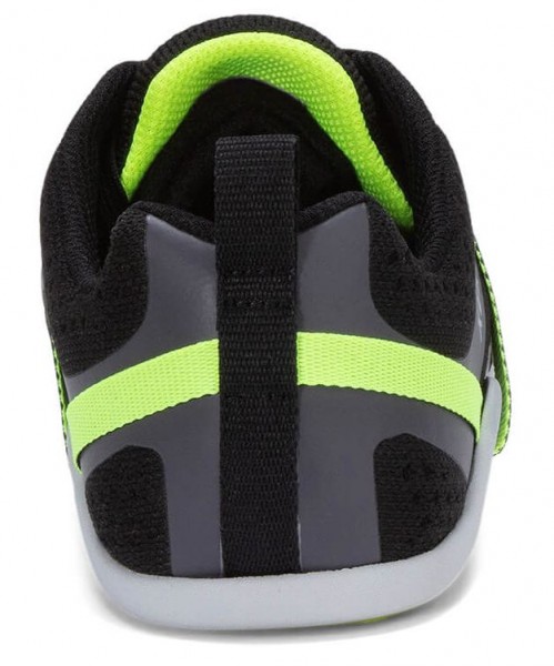 Xero |m ~ Prio Neo ~ Asphalt/Black
