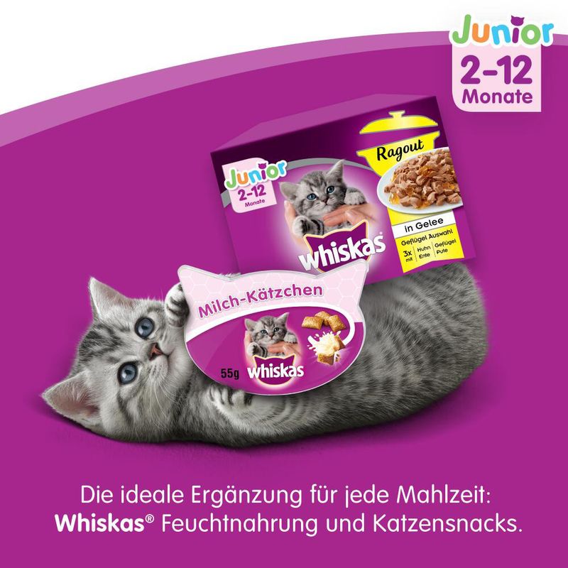 Whiskas Junior Huhn zu TOP-Preisen