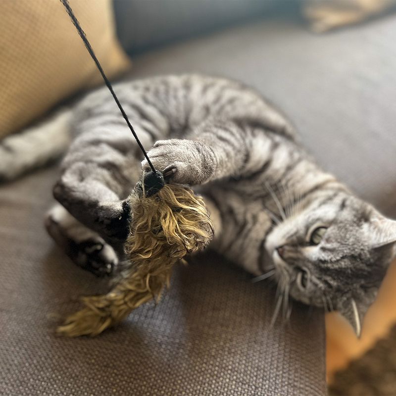 Aumüller Katzenangel Woozle mit Wuschel-Frettchen