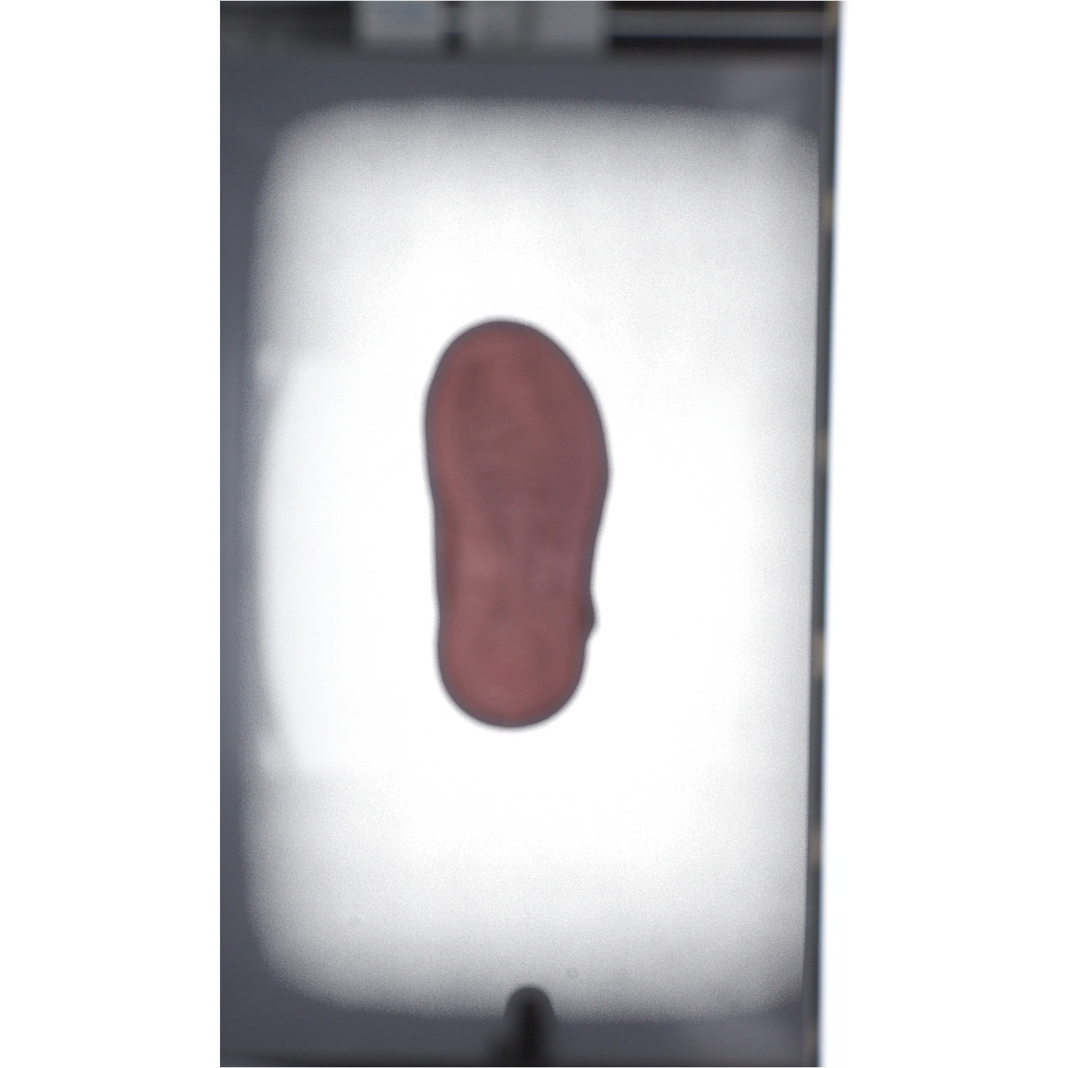 Superfit GLACIER 09226, Stiefel (Kinder), Kinder, Rosa