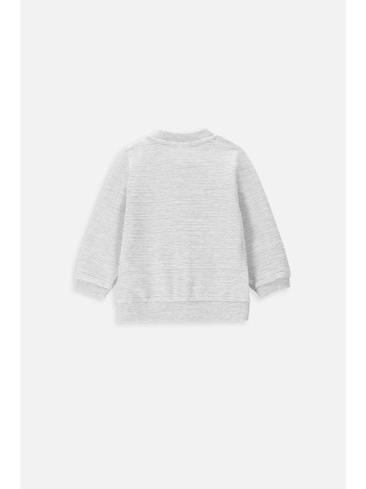 Coccodrillo Sweatshirt mit Reißverschluss in grau günstig kaufen