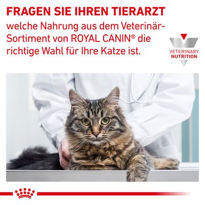 Royal Canin Veterinary Feline Skin & Coat in Soße
