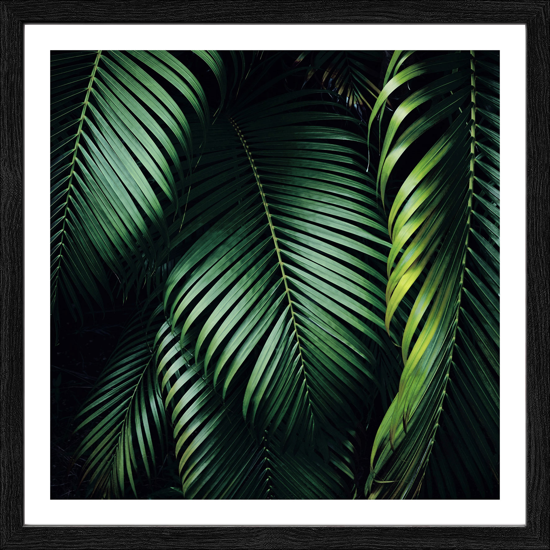 Pro ArtKunstdruck gerahmt 28x28cm