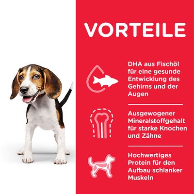 Hill's Science Plan Puppy <1 Medium mit Huhn