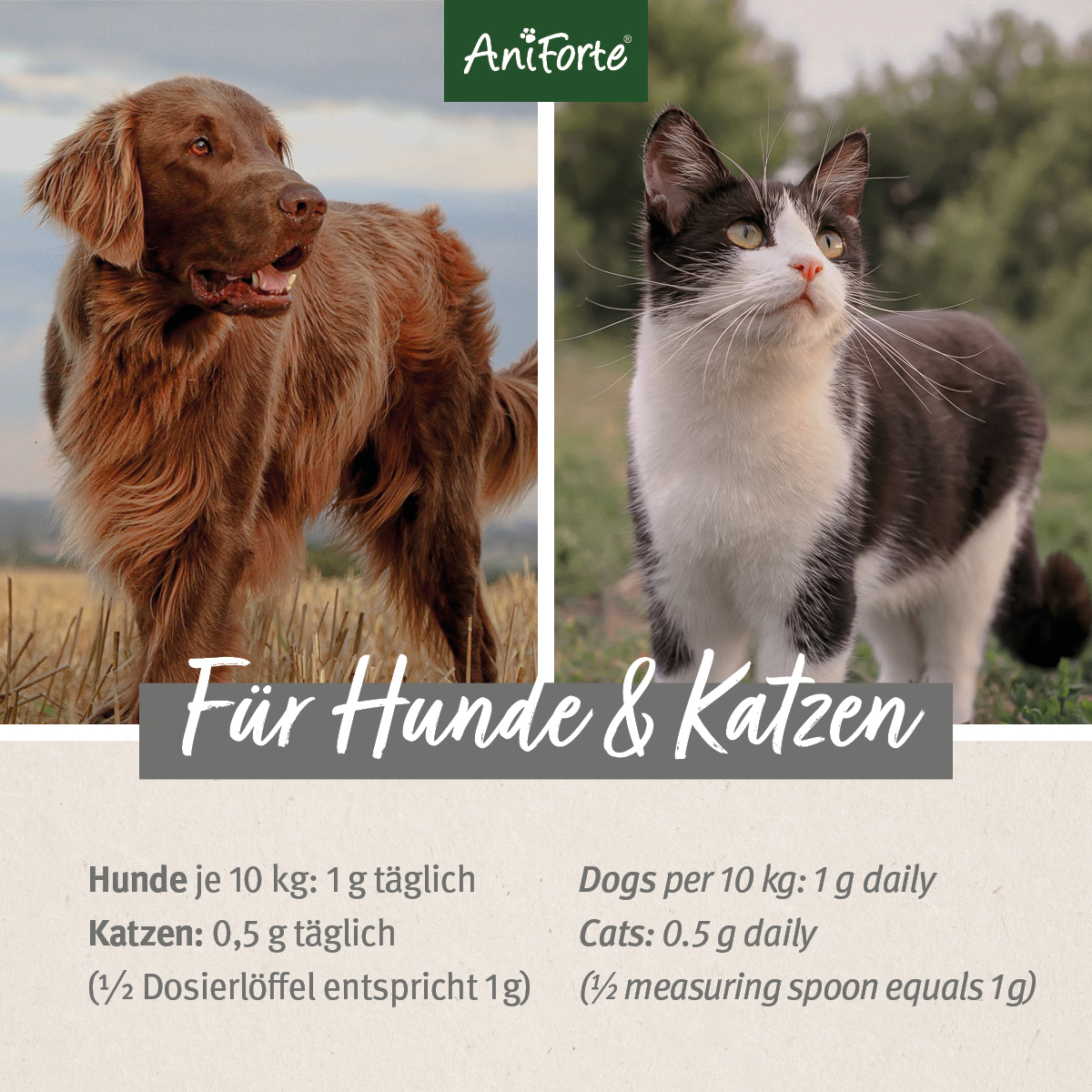 Aniforte Ergänzungsfutter & Aufzucht Aniforte Bierhefe Pulver 500g 500 g