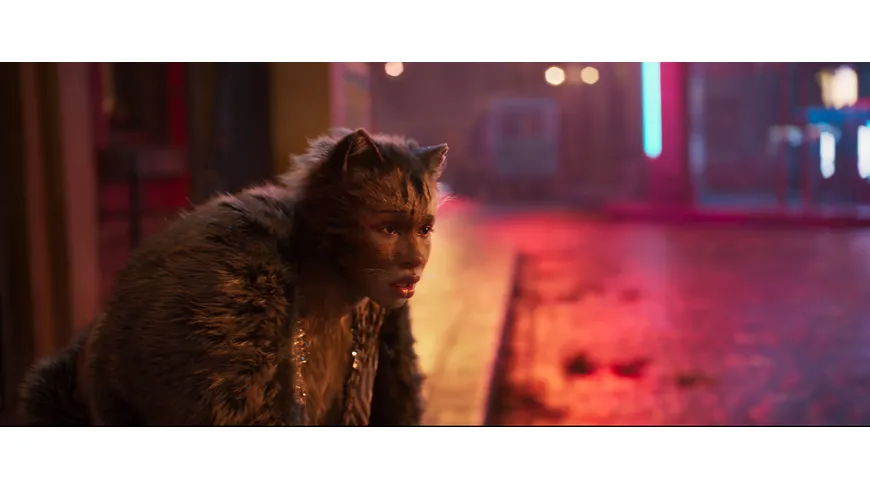 Cats