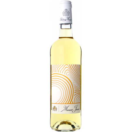 MUSAR JEUNE BLANC 2021 - CHÂTEAU MUSAR
