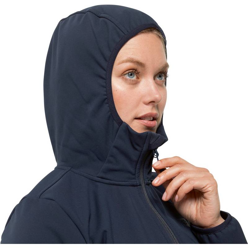 Jack Wolfskin BORNBERG Softshelljacke Damen