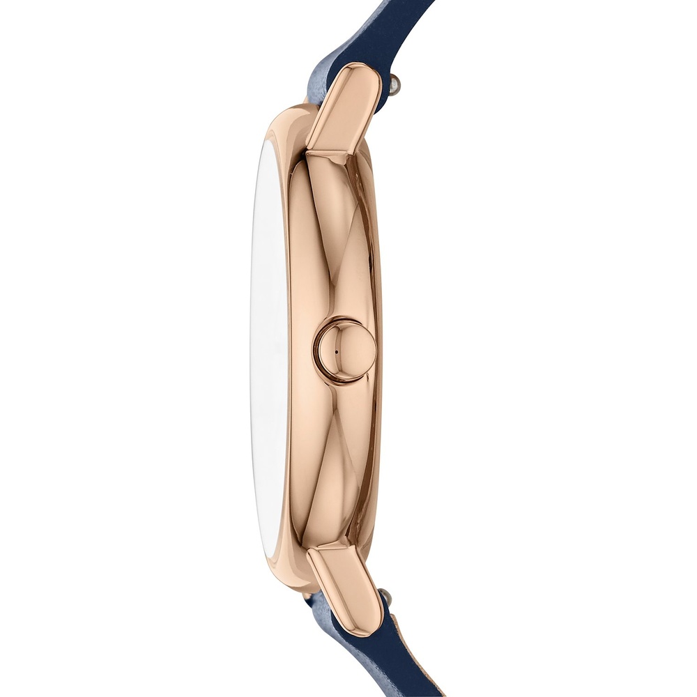 Skagen Montre pour femme Acier inoxydable Montre
