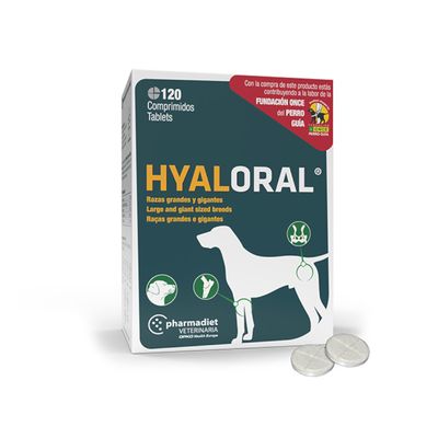 Hyaloral große & sehr große Rassen