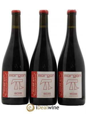 Morgon 3.14 Jean Foillard  2016 - Lot de 3 Bouteilles