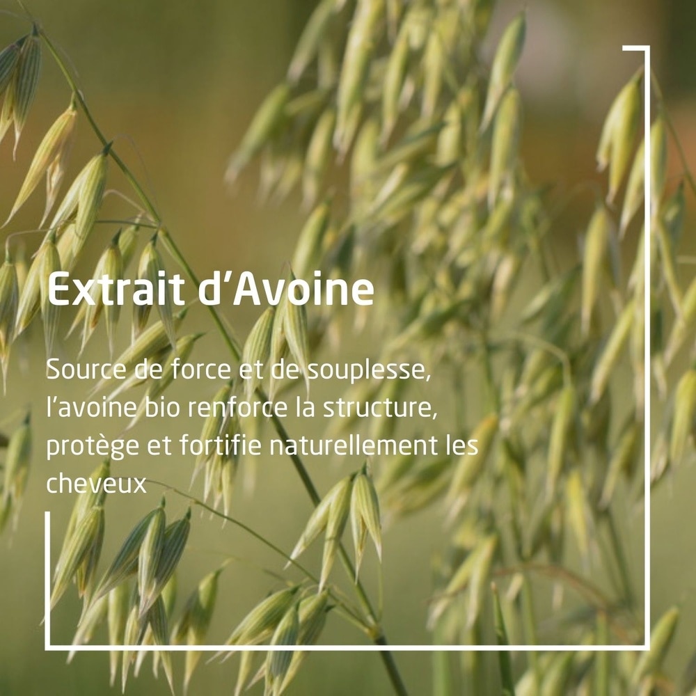 WELEDA Après-shampooing régénérant à l'Avoine - 200 ml Capillaires