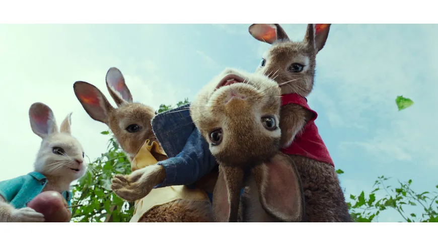 Peter Hase