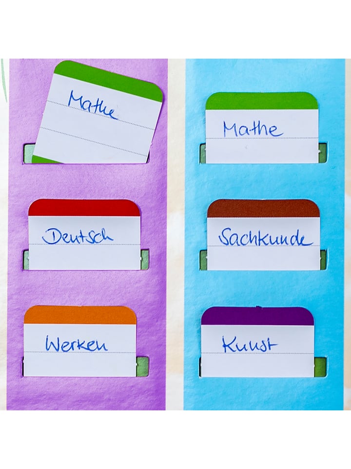 ROTH Klipp&Klar Stundenplan Steck Fix, Tyrannosaurus, A3 in Bunt günstig kaufen onesize