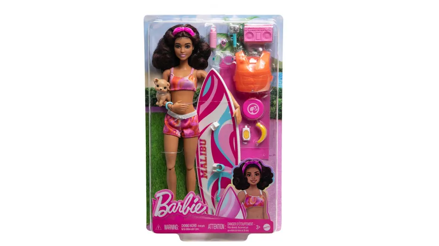 Barbie Surf-Puppe & Accy