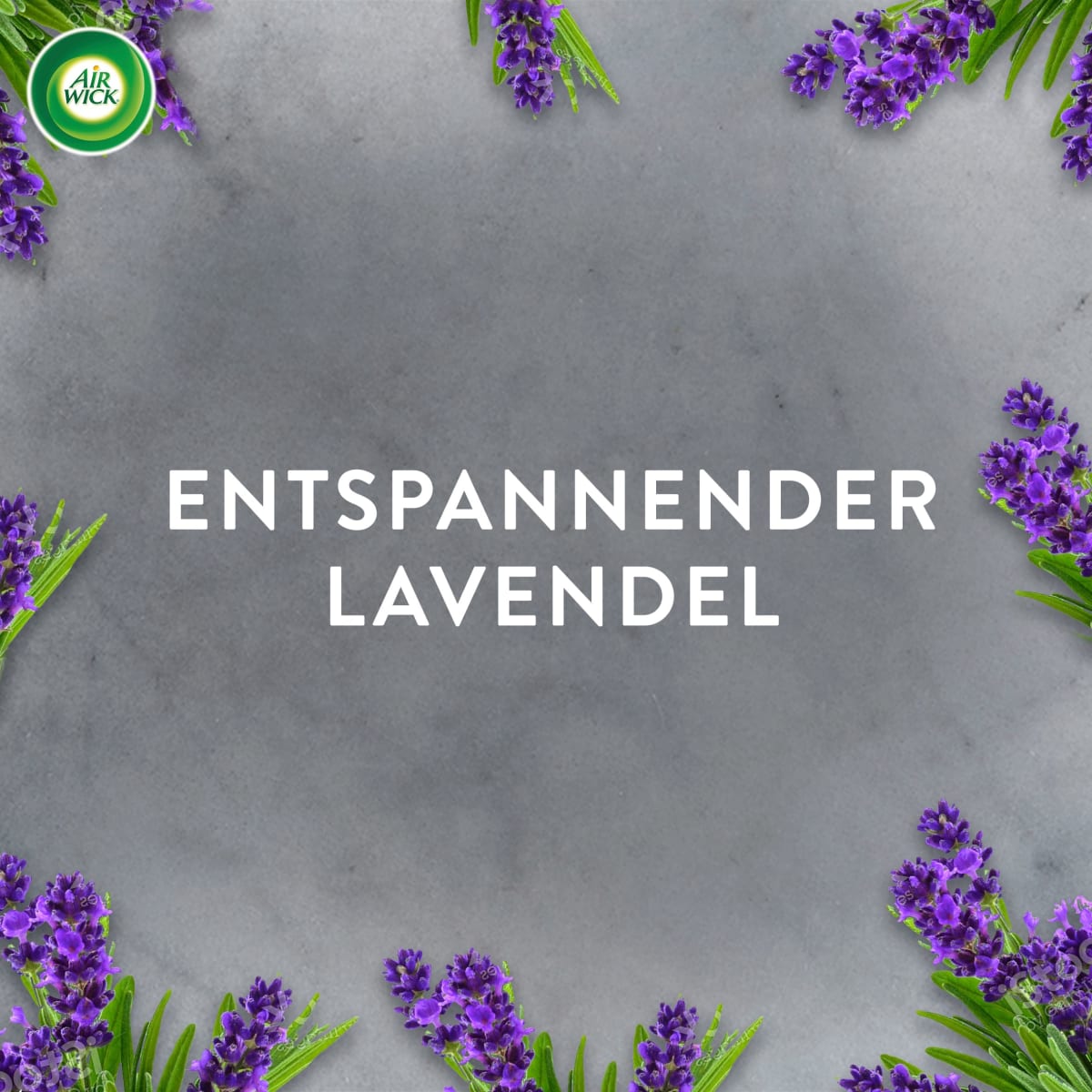 Lufterfrischer Aroma-Öl  Entspannender Lavendel Nachfüllpack, 20 ml