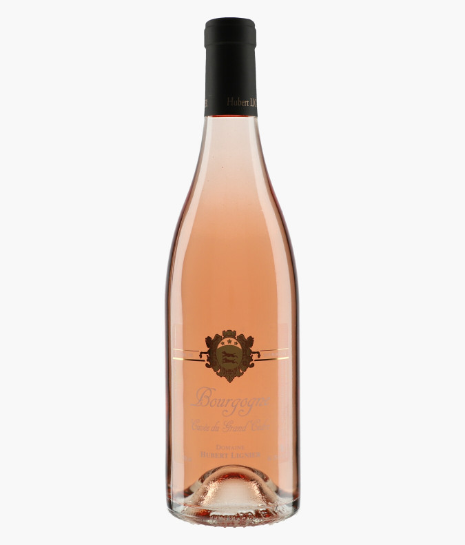 Bourgogne Cuvée du Grand Cèdre 2020LIGNIER HUBERT