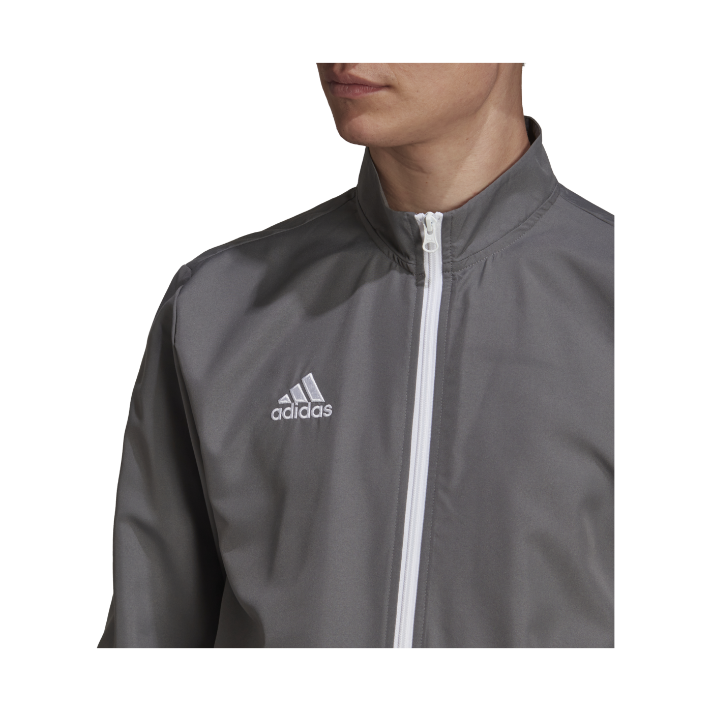 adidas Entrada 22 Präsentationsjacke Grau