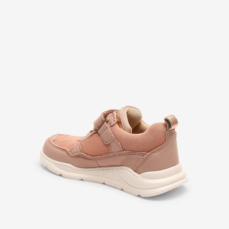 pan e tex rose - Rose