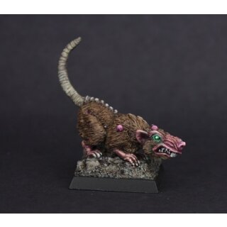 Barrow Rats (2)