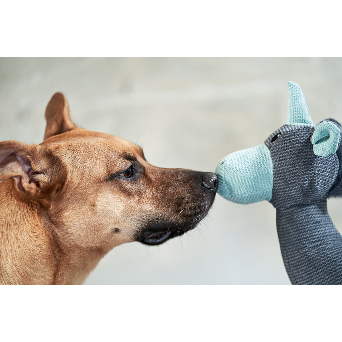 ZooRoyal Hundespielzeug Einhorn Anthrazit kaufen