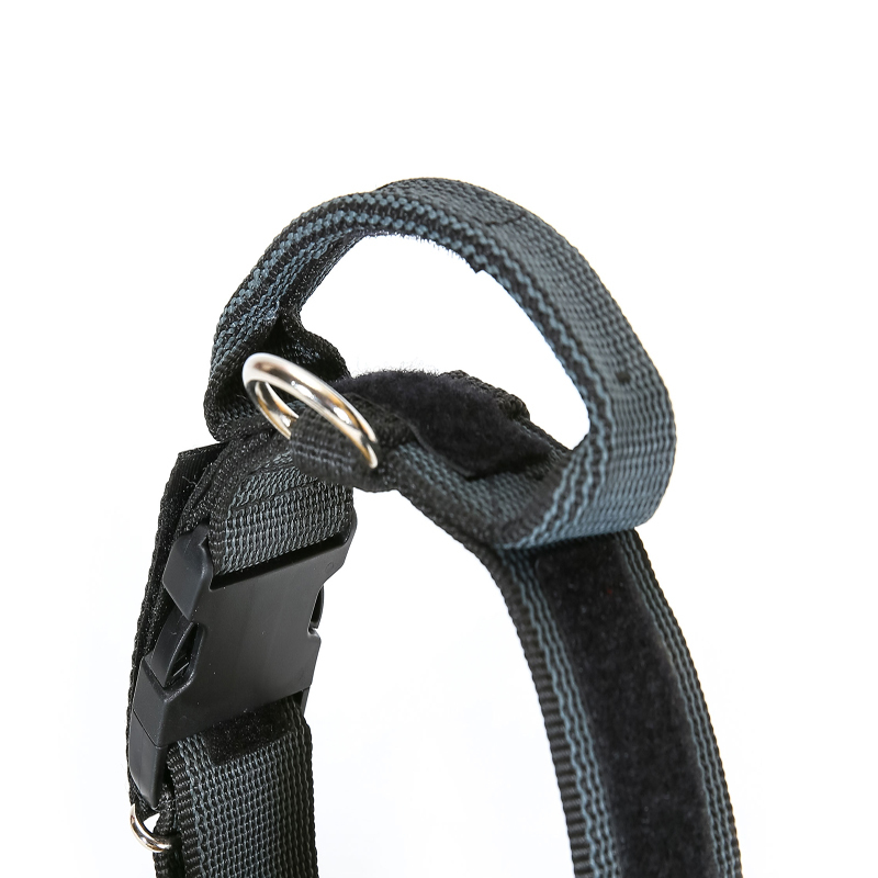 JULIUS-K9 Hundehalsbänder JULIUS-K9 Halsband mit Griff 50mm schwarz/ grau