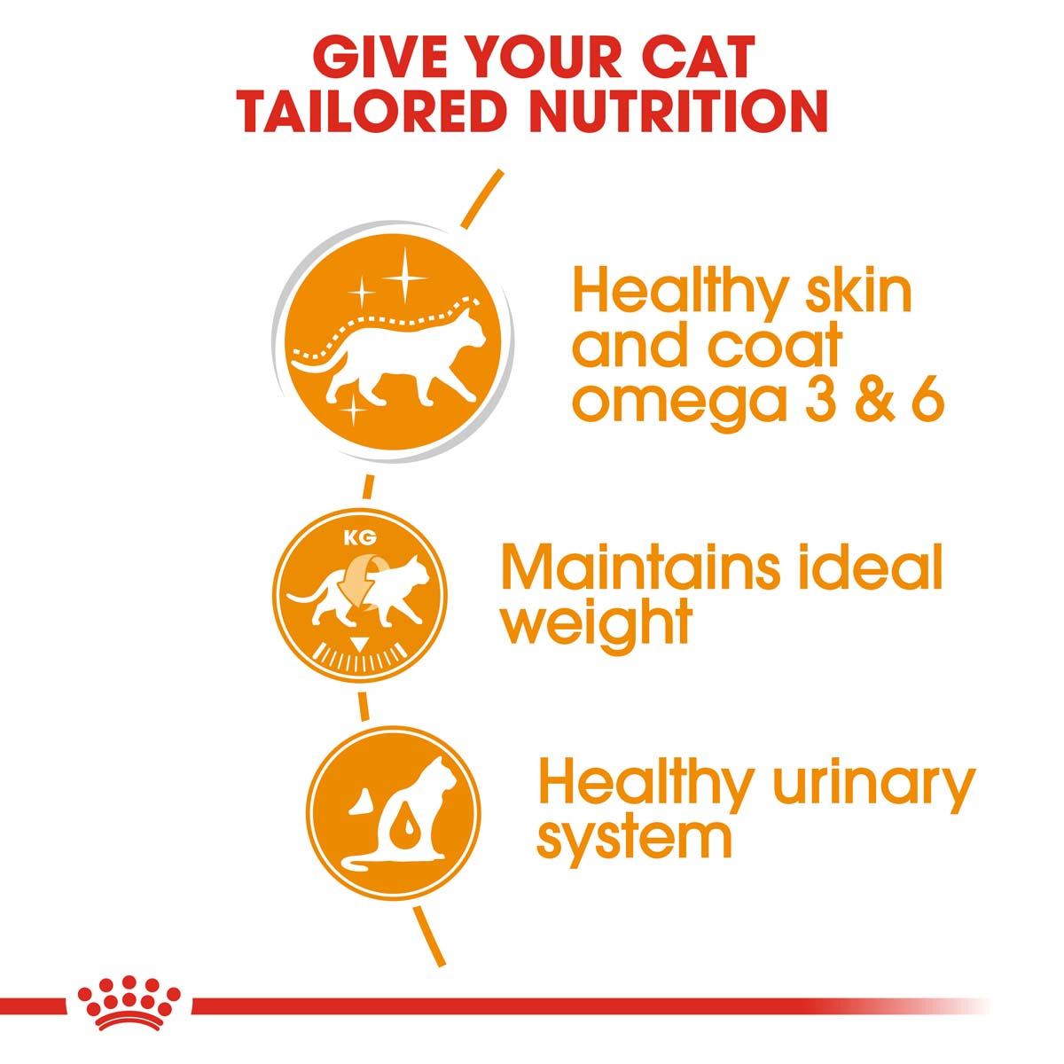 ROYAL CANIN SENSIBLE Trockenfutter 2kg + INTENSE BEAUTY Nassfutter 12x85g