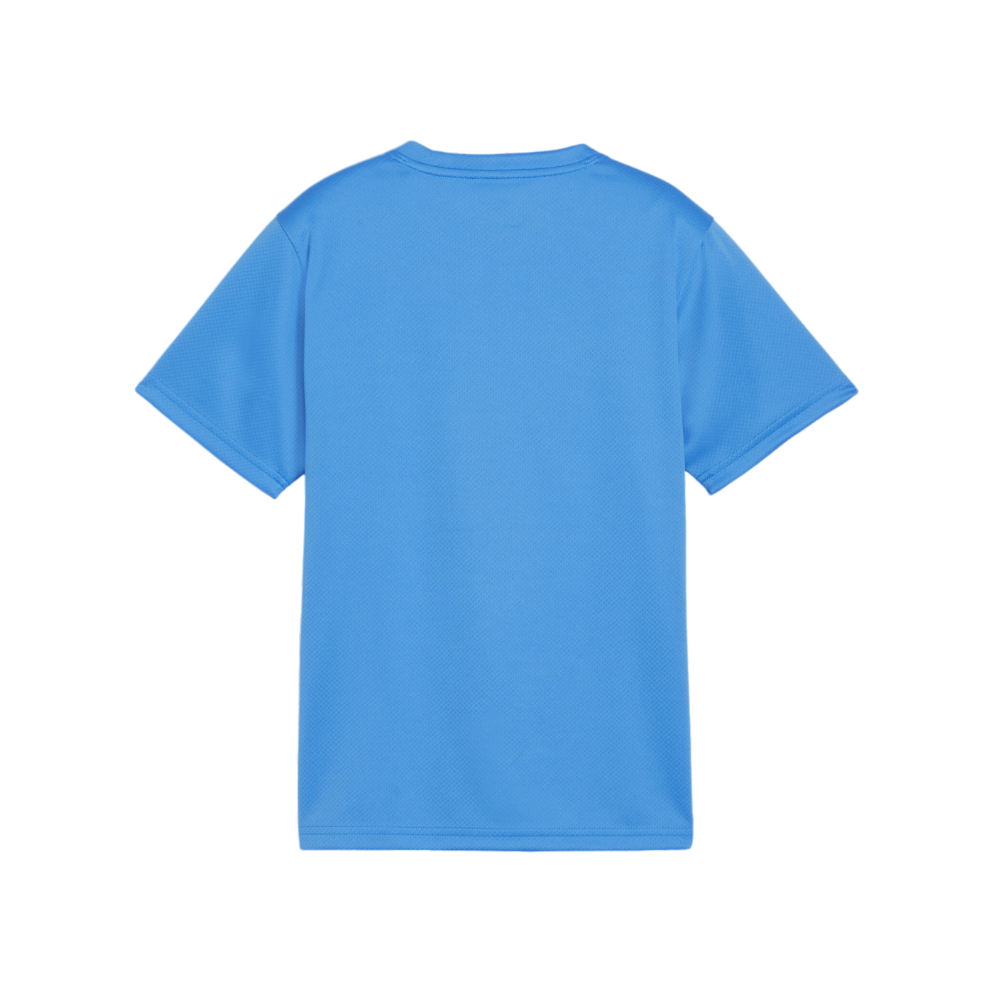 PUMA teamGOAL Trikot Kids Blau F02