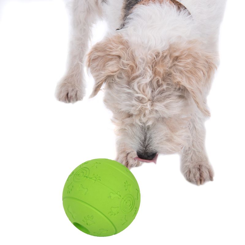 Hundespielzeug Snackball zu TOP-Preisen