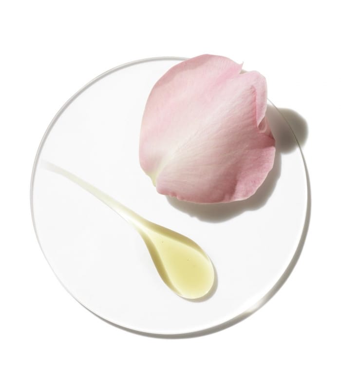 Clinique-AROMATICS ELIXIR-Parfum Vaporisateur