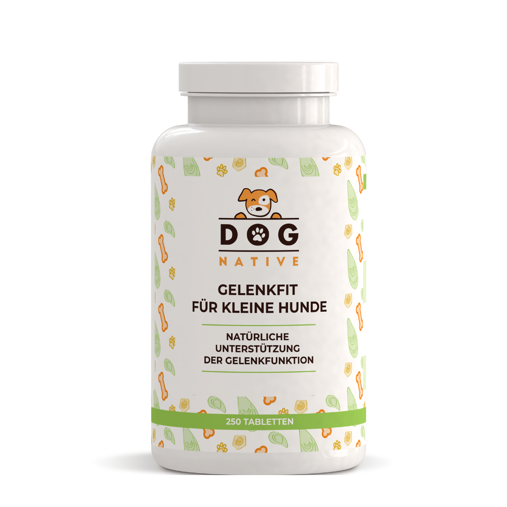 Dog-Native Ergänzungsfutter & Aufzucht Dog-Native Gelenktabletten für kleine Hunde, natürliche Gelenk-Tabletten mit Grünlippmuschel, MSM, Kollagen-Hydrolysat und Chondroitin, hochdosiert für Gelenke, 250 Tabletten