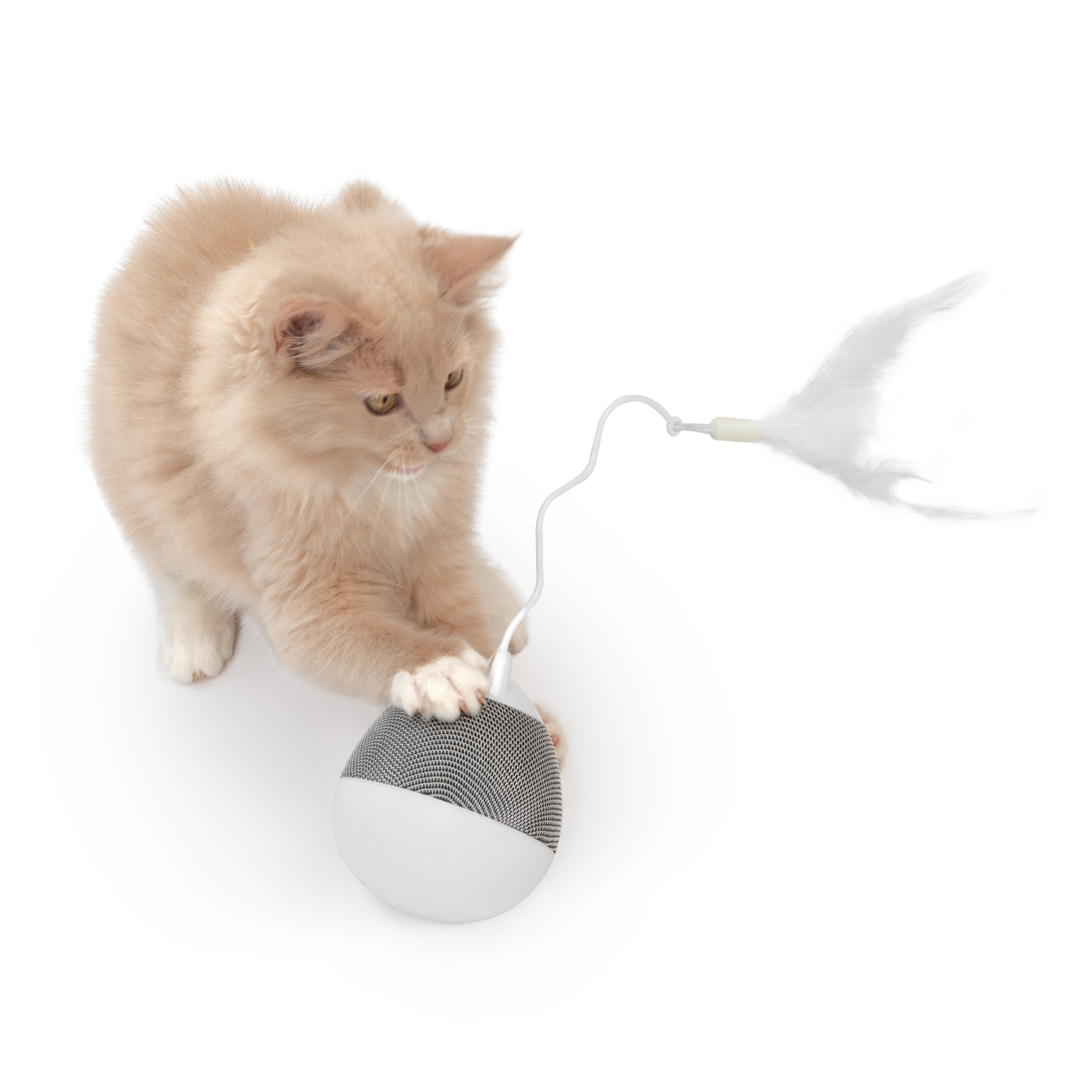 Catit Katzenangeln Catit Pixi Kreisel Pfotenaktiviert