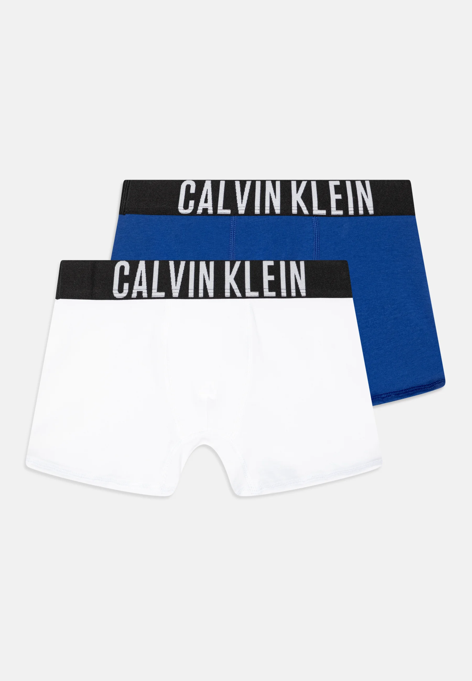 Calvin Klein Underwear TRUNK PACK DE 2 - Culotte