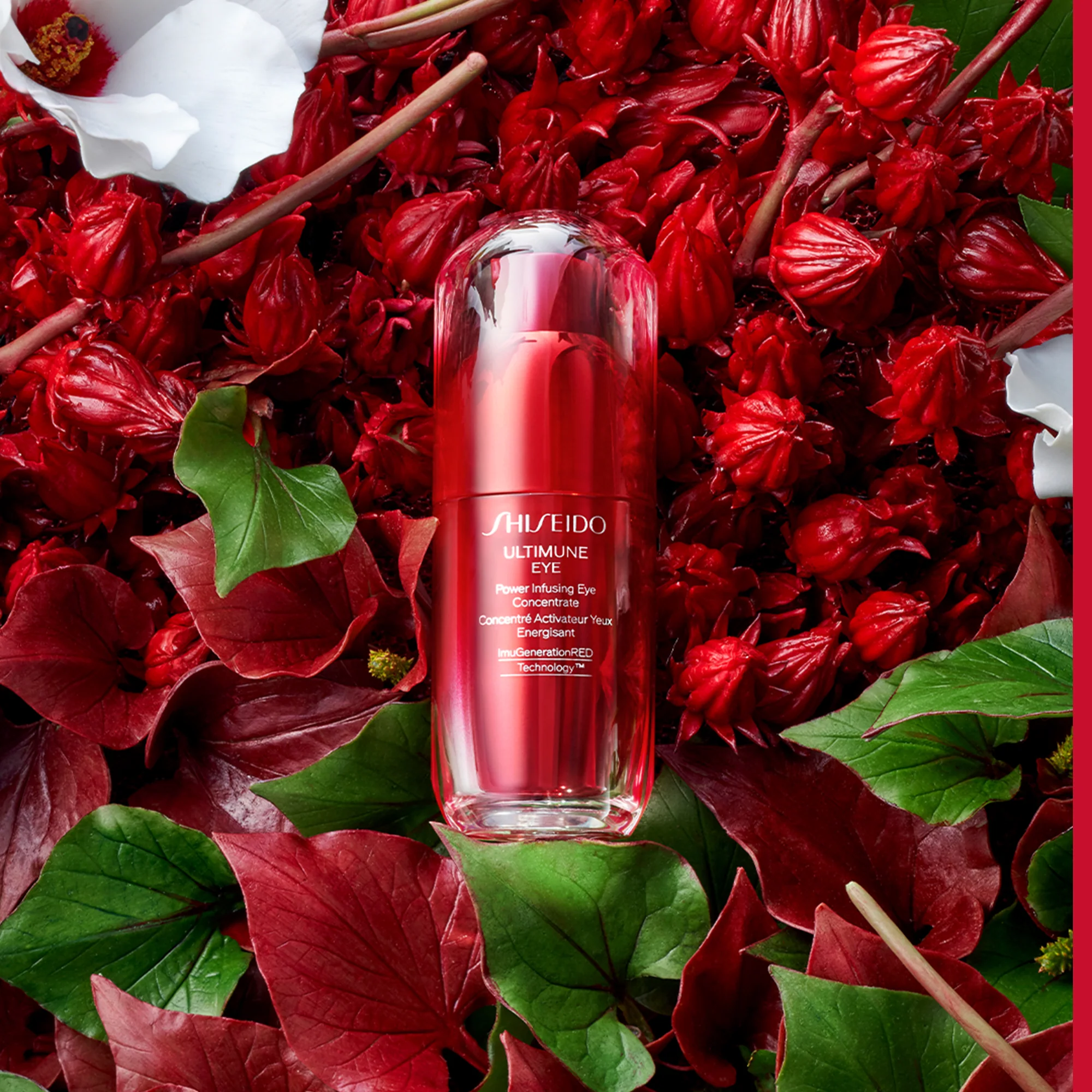 Ultimune Eye Power Infusing Eye Concentrate - Protiv bora za područje oko očiju