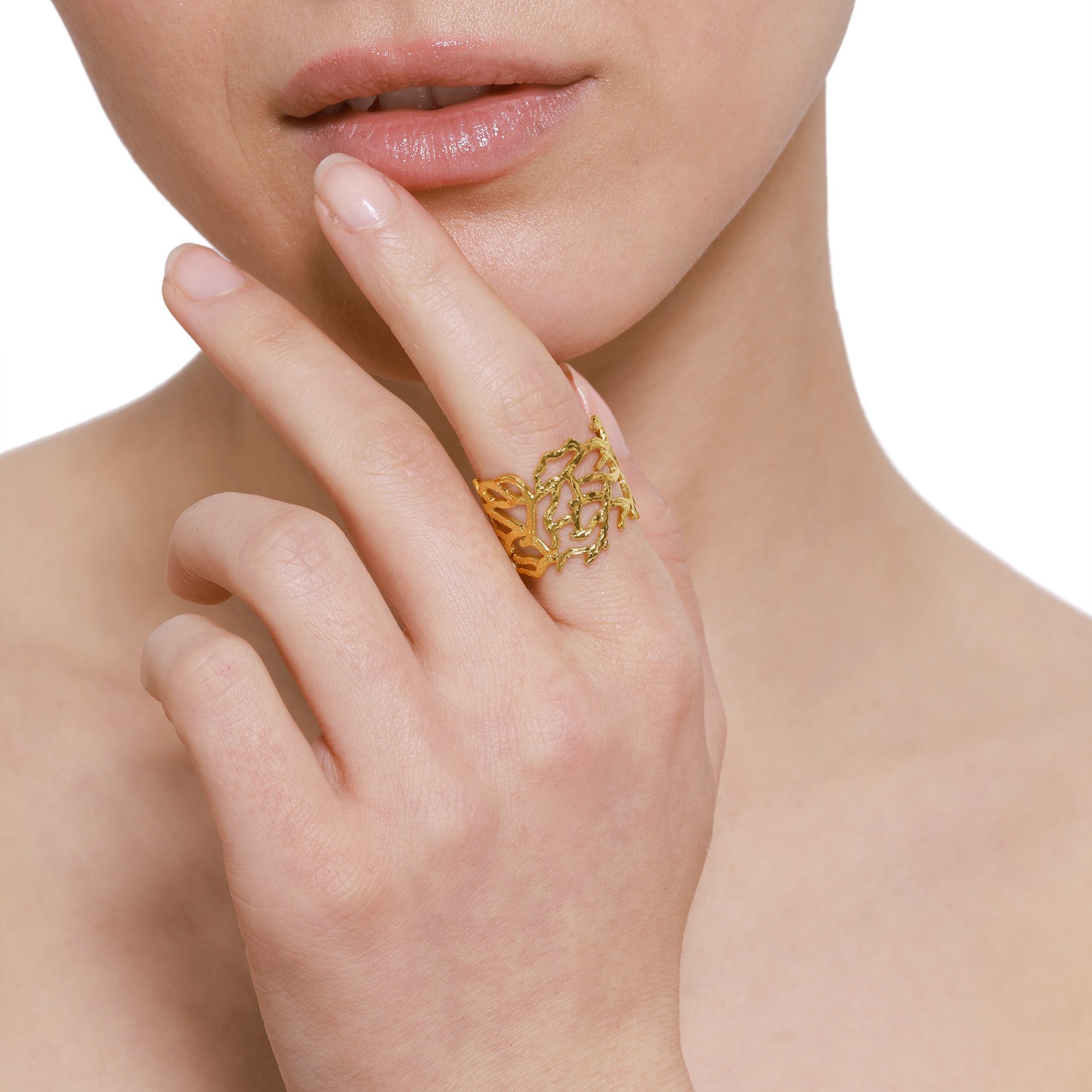 Anillo de Heideman Maeci