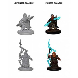 Dwarf Male Sorcerer: Pathfinder Deep Cuts Unpainted Minis