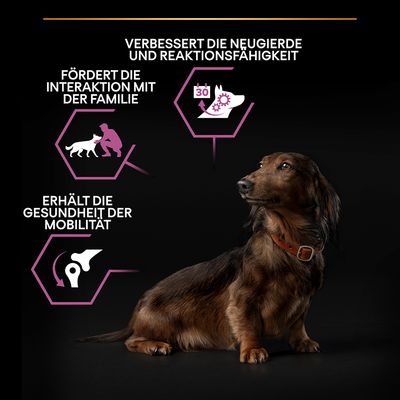 PURINA PRO PLAN Small & Mini Adult 9+ Age Defence