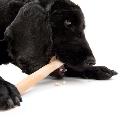Trixie gefüllte Kaurollen mit Pansengeschmack