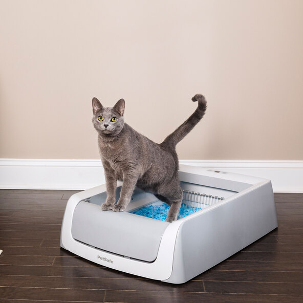 Selbstreinigende Katzentoilette ScoopFree