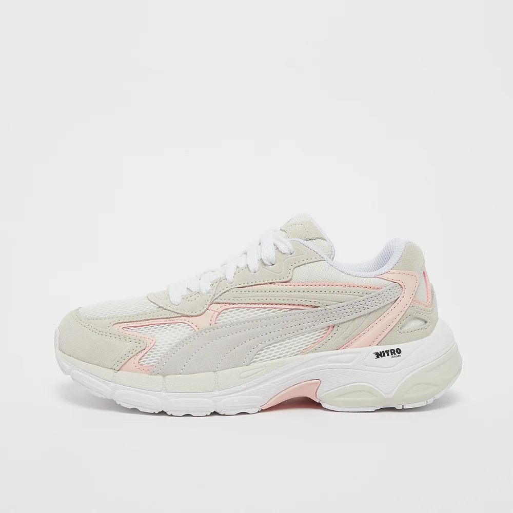 PUMA Teveris Nitro 388774 04 / grau