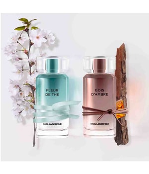 Karl Lagerfeld Bois d'Ambre Eau de Toilette-50 ml