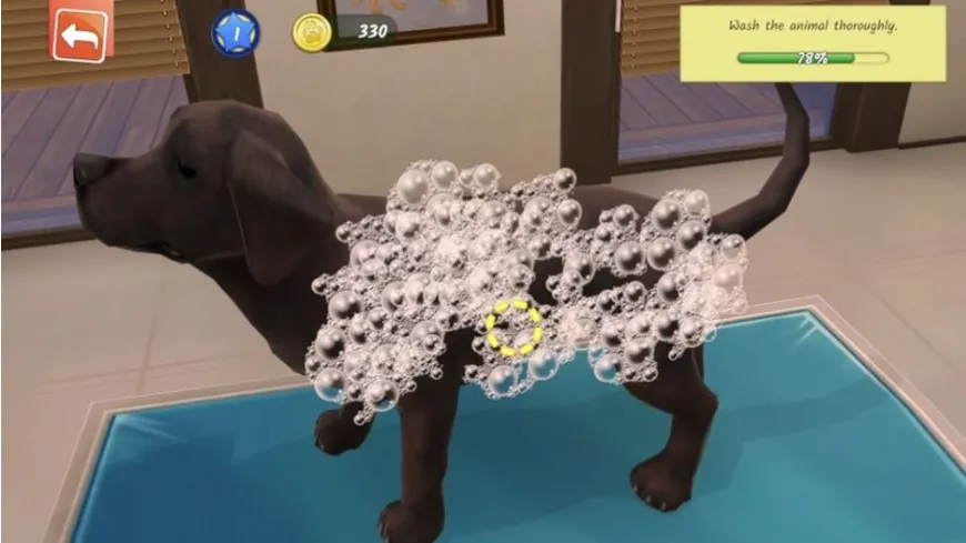 Animal Hospital