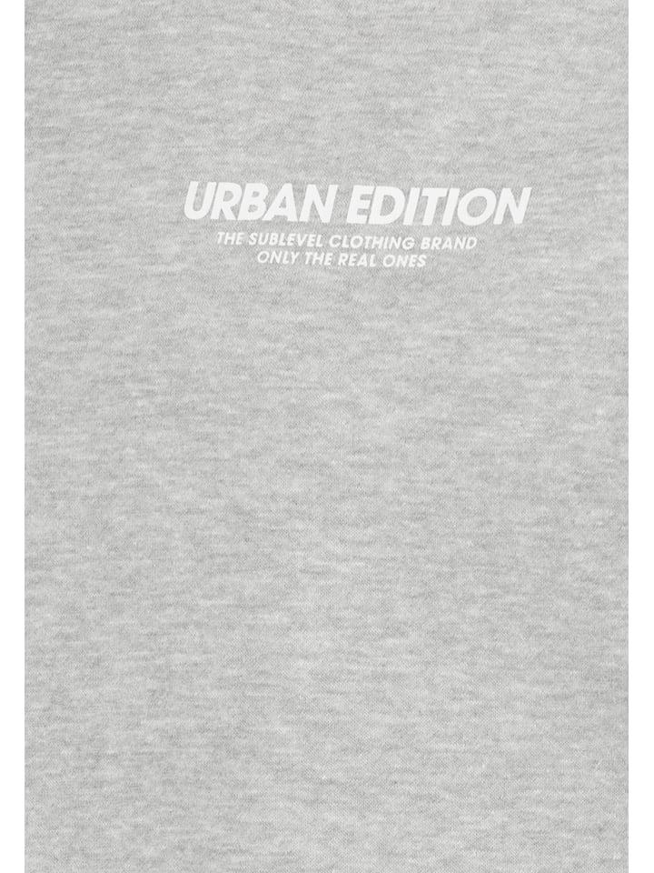 Sublevel Hoodie in Hellgrau günstig kaufen